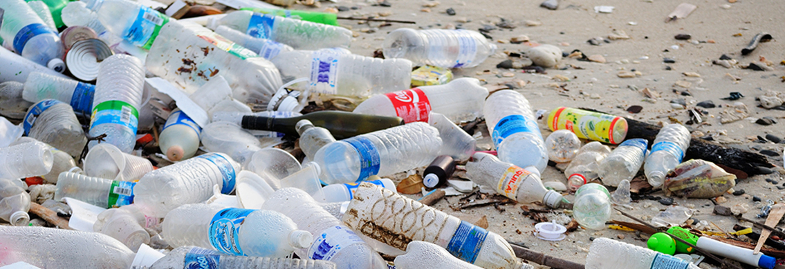 Plastic – how can you reduce your consumption? | Budget Insurance