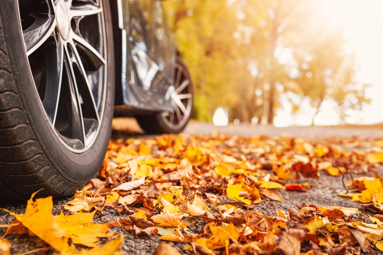 Photo of car tyres in autumn